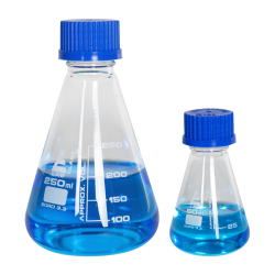 Glass Erlenmeyer Flasks with Caps